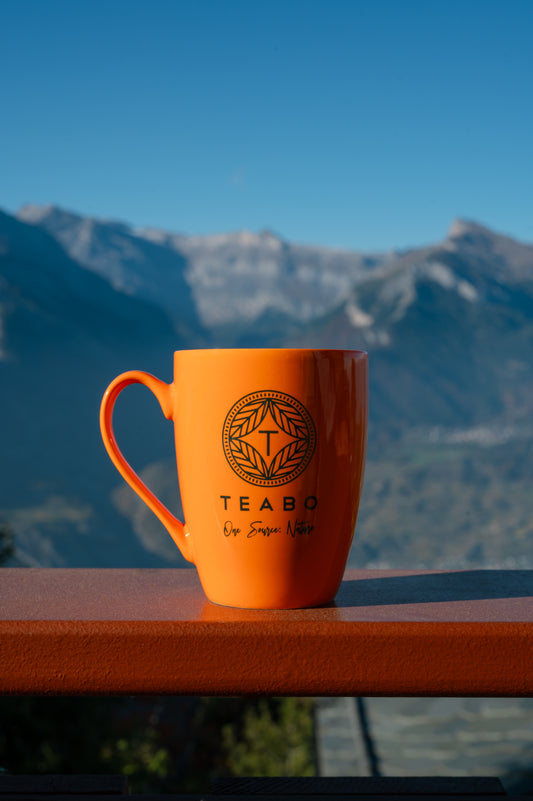Taza Naranja Teabo