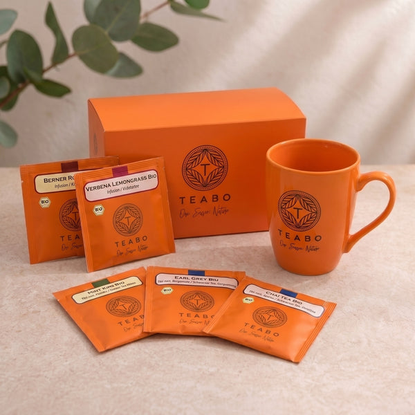 Le coffret Routine découverte Teabo, ses sachets et une tasse