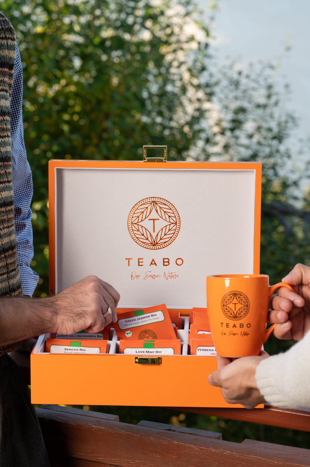 Le coffret Teabo de 9 thés ouvert, tendu à deux mains