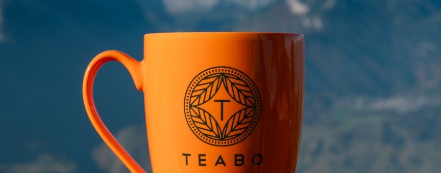 Un mug Teabo orange face aux montagnes suisses